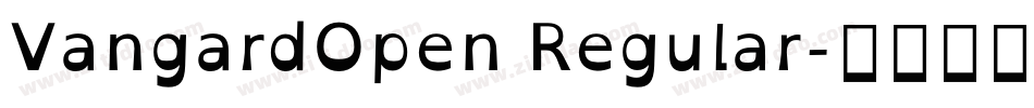 VangardOpen Regular字体转换